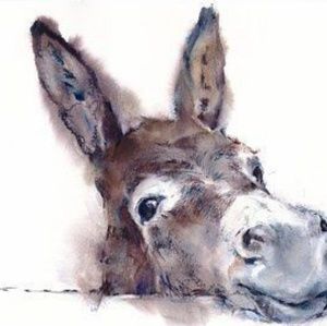 Meet your Posher, Vickie